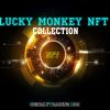 LUCK MONKEY NFT COLLECTION خرید NFTART از کلکسیون میمون خوش شانس