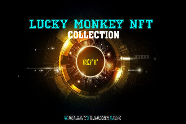 LUCK MONKEY NFT COLLECTION خرید NFTART از کلکسیون میمون خوش شانس